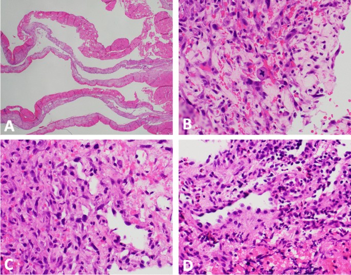 journal article presentation figure 5