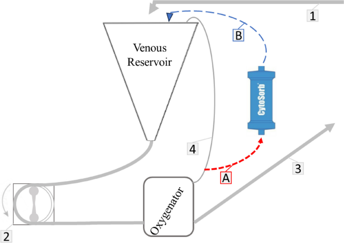 emergency management literature review figure 1