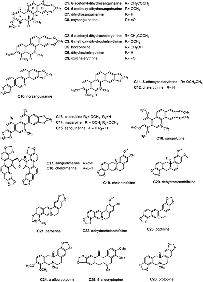 In Silico Target Fishing And Pharmacological Profiling For The Isoquinoline Alkaloids Of Macleaya Cordata Bo Luo Hui Chinese Medicine Full Text