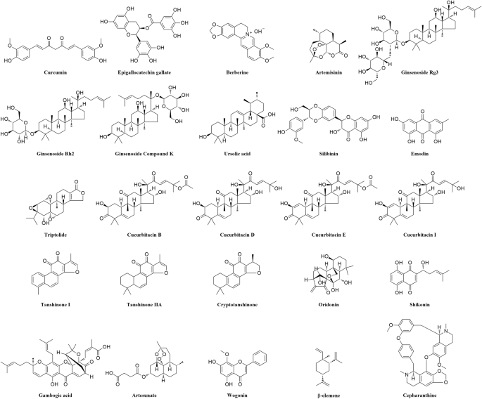 Naturally Occurring Anti Cancer Compounds Shining From Chinese Herbal Medicine Chinese Medicine Full Text