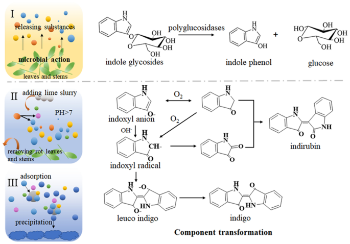 From natural dye to herbal medicine: a systematic review of chemical constituents, pharmacological effects and clinical applications of indigo naturalis | Chinese Medicine | Full Text From natural dye to herbal medicine: a systematic review of chemical constituents, pharmacological effects and clinical applications of indigo naturalis | Chinese Medicine | Full Text