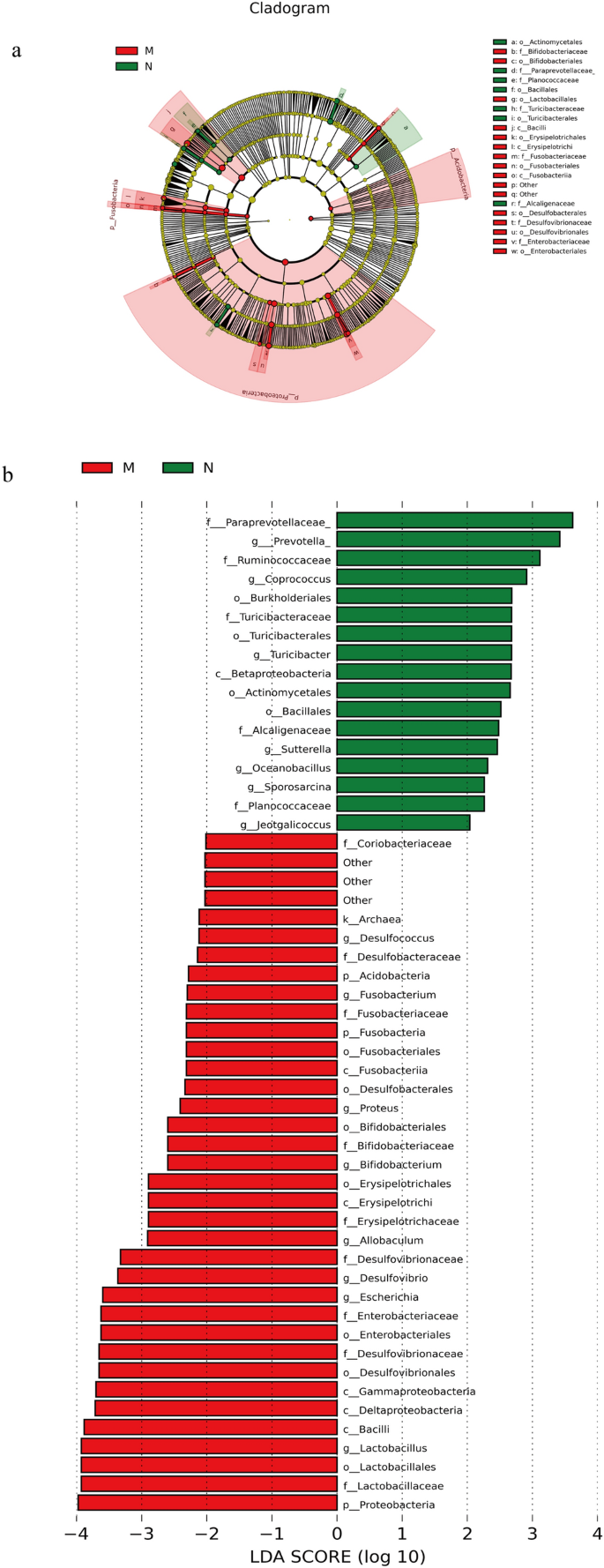Determination Of The Protective Effects Of Hua Zhuo Jie Du In Chronic Atrophic Gastritis By Regulating Intestinal Microbiota And Metabolites Combination Of Liquid Chromatograph Mass Spectrometer Metabolic Profiling And 16s Rrna Gene Sequencing Chinese Determination Of The Protective Effects Of Hua Zhuo Jie Du In Chronic Atrophic Gastritis By Regulating Intestinal Microbiota And Metabolites Combination Of Liquid Chromatograph Mass Spectrometer Metabolic Profiling And 16s Rrna Gene Sequencing Chinese
