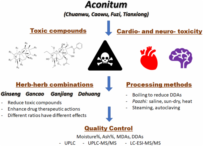 Effects Of Lappaconitine Hydrobromide Effects Of Lappaconitine Hydrobromide