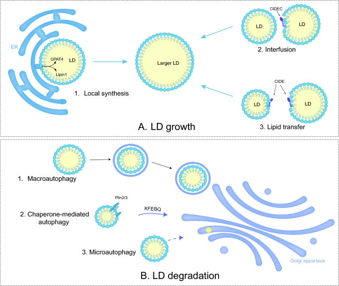 latest research of diabetes figure 2