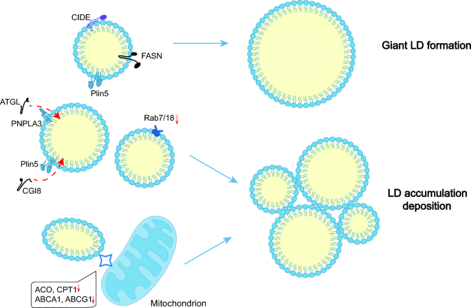 latest research of diabetes figure 3