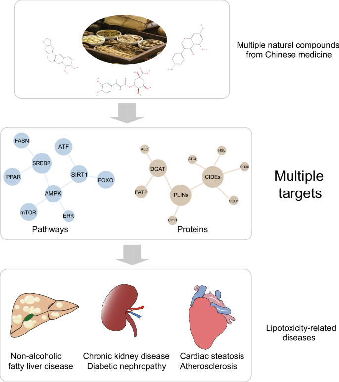 latest research of diabetes figure 5