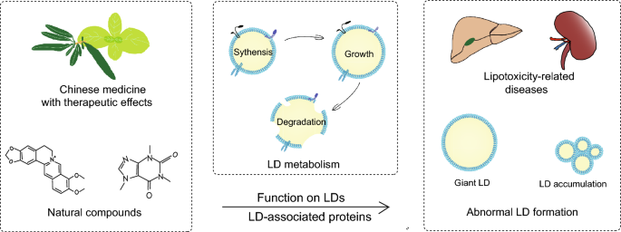 latest research of diabetes