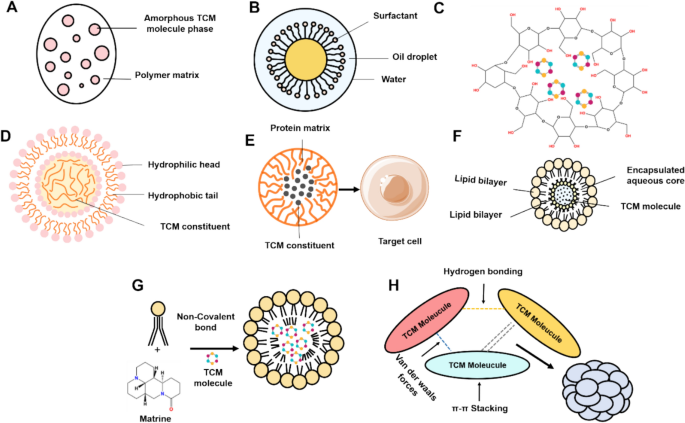 Holistic concept guided quality control of traditional Chinese medicines for optimizing bioavailability | Chinese Medicine | Springer Nature Link Holistic concept guided quality control of traditional Chinese medicines for optimizing bioavailability | Chinese Medicine | Springer Nature Link