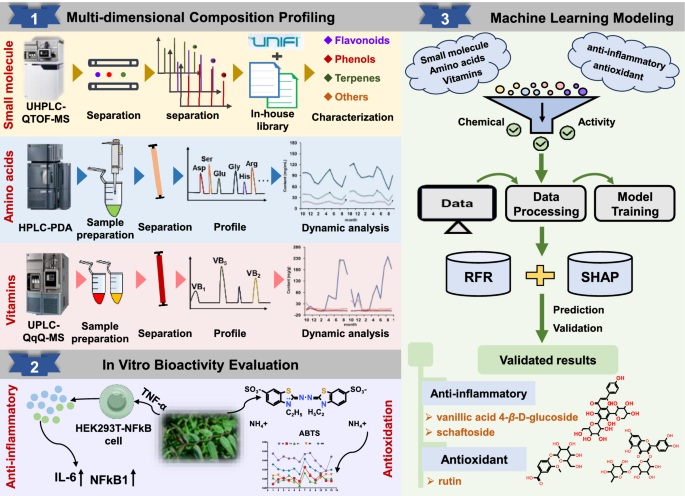 Integrating metabolomics and machine learning to forecast anti ...