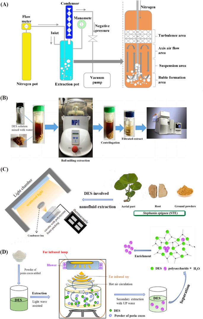 Deep eutectic solvents for green extraction and separation of bioactive ...