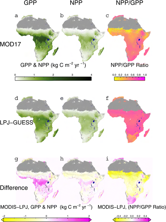 Comparison between remote sensing and a dynamic vegetation model for  estimating terrestrial primary production of Africa | Carbon Balance and  Management | Full Text