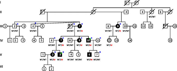 Deafness Autosomal Dominant