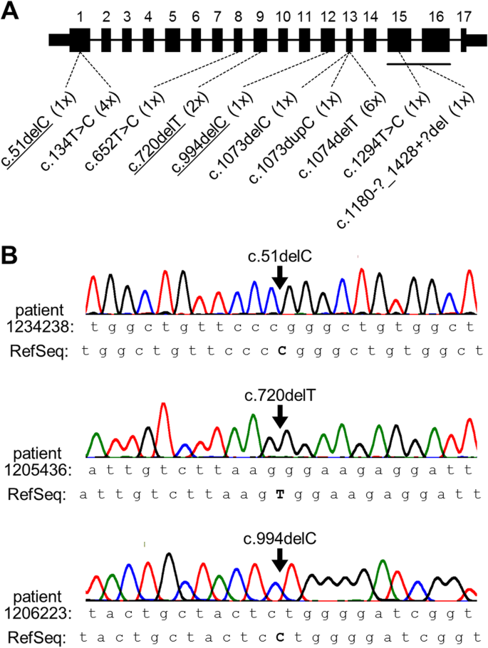Genetic Clinical And Biochemical Characterization Of A Large Cohort Of Patients With Hyaline Fibromatosis Syndrome Orphanet Journal Of Rare Diseases Full Text Genetic Clinical And Biochemical Characterization Of A Large Cohort Of Patients With Hyaline Fibromatosis Syndrome Orphanet Journal Of Rare Diseases Full Text