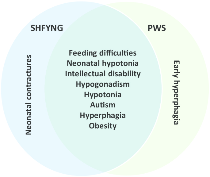The Adult Phenotype Of Schaaf Yang Syndrome Orphanet Journal Of Rare Diseases Full Text