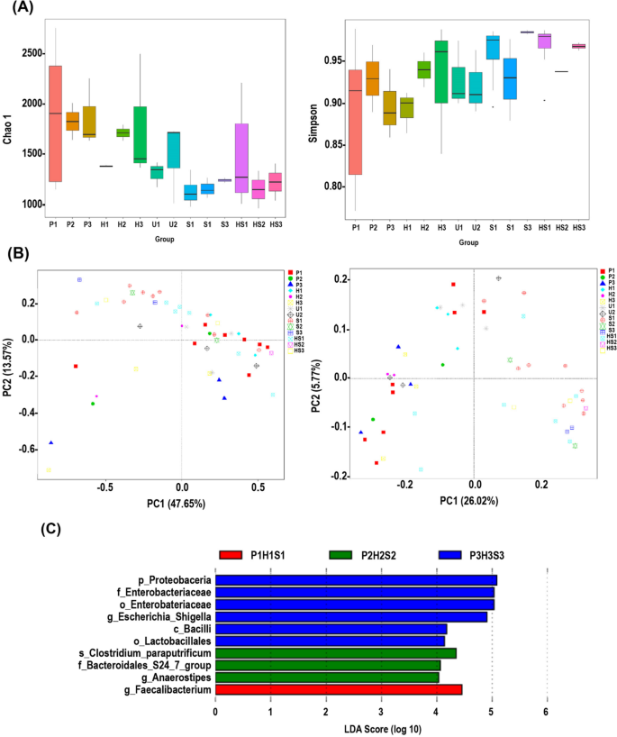 Alpha-diversity indexes, beta-diversity and longitudinal