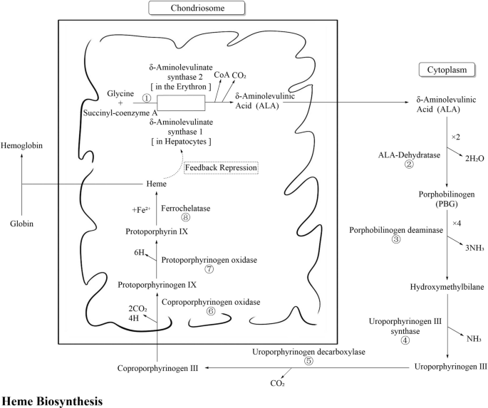 frequency distribution table in research figure 1