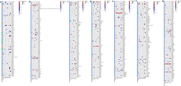 frequency distribution table in research figure 4