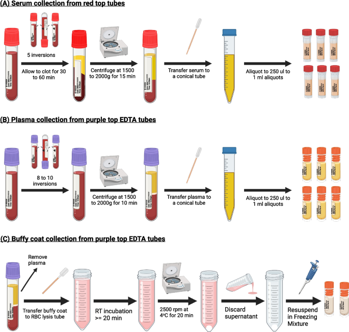 research findings template figure 3