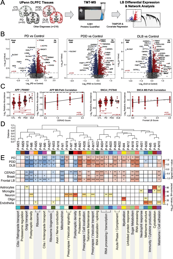 presentation of vascular dementia figure 1