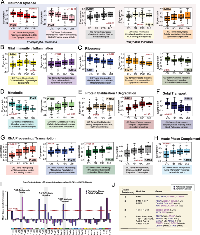 presentation of vascular dementia figure 2