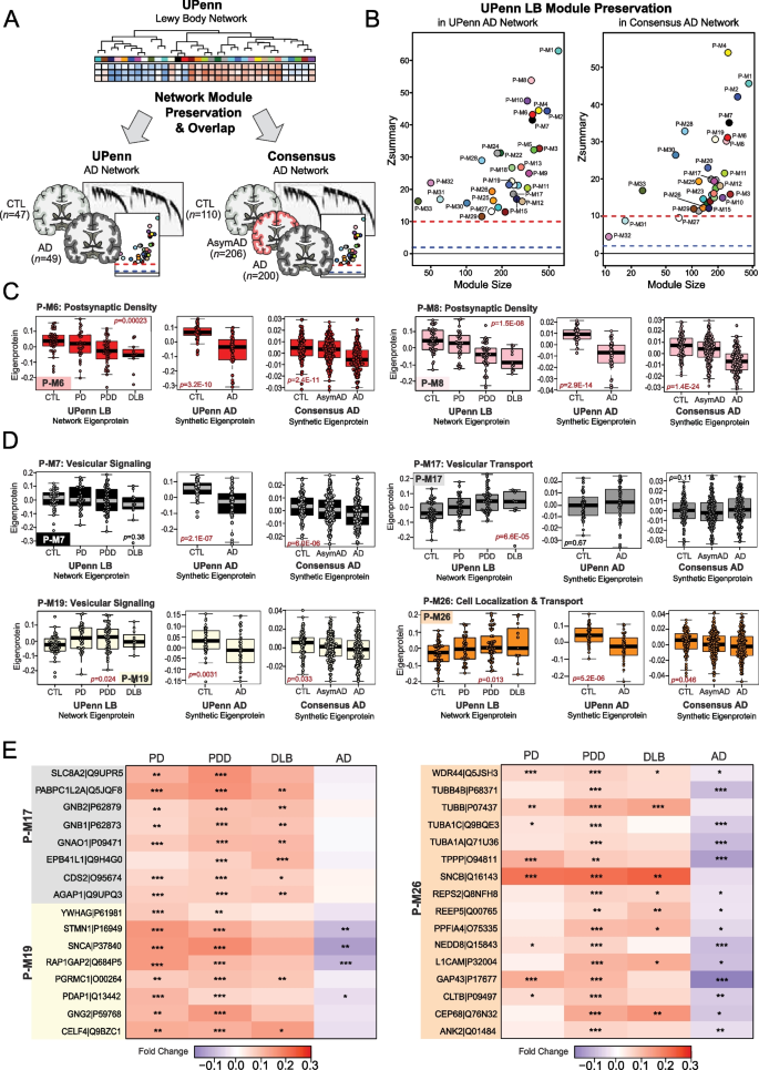 presentation of vascular dementia figure 5