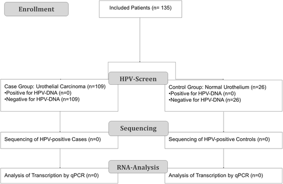 Bladder pain and hpv, Hpv causes bladder infections,, Hpv symptoms urination