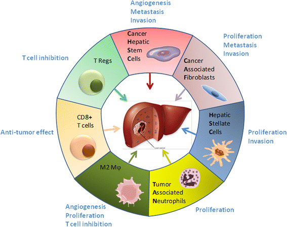 cancer hepatic prognostic tratamentul helmintiazei la copii