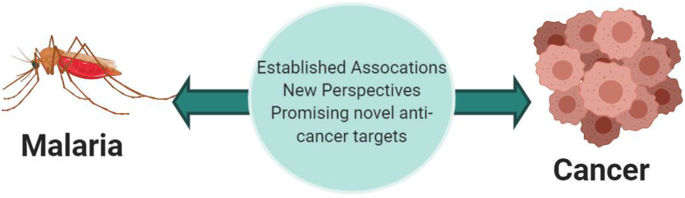 Malaria and Cancer: a critical review on the established associations and  new perspectives | Infectious Agents and Cancer | Full Text