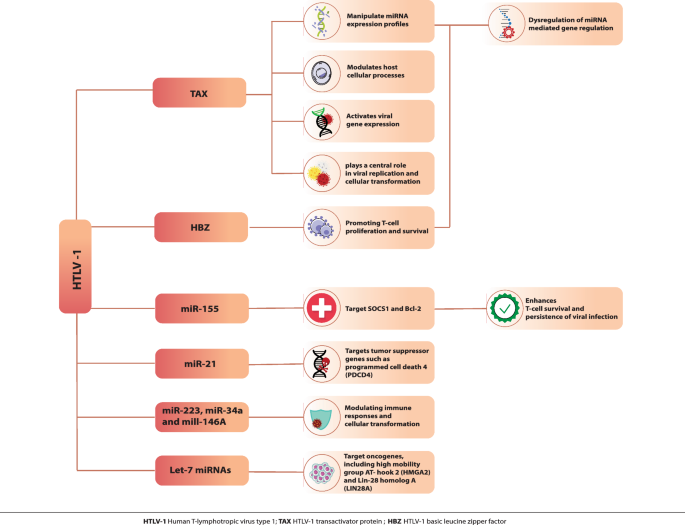 HTLV-1 infection and microRNAs: unraveling the complex crosstalk ...