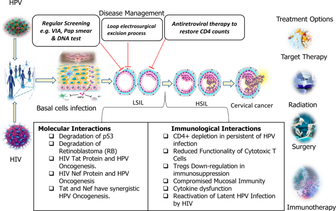 Molecular, immunological and oncogenic mechanisms of cervical cancer ...
