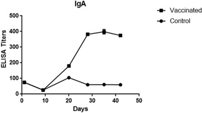 Evaluation Of Humoral Immune Responses To Enterotropic Lentogenic Vg Ga Vaccine Of Newcastle Disease In Commercial Turkey Poults Meleagris Gallopavo Acta Veterinaria Scandinavica Full Text