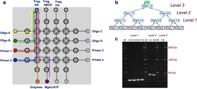 figure 4