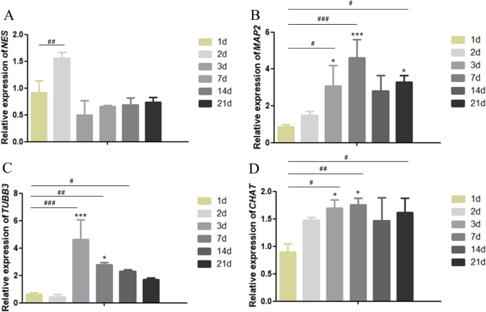 Effect Of Ciliary Neurotrophic Factor On Neural Differentiation Of Stem Cells Of Human Exfoliated Deciduous Teeth Journal Of Biological Engineering Full Text