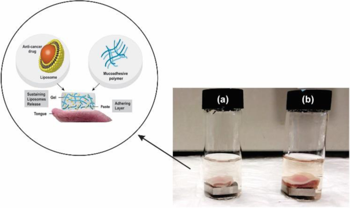 Alginate de sodium - La Guilde Culinaire