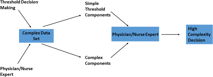 How Experts Make Complex Decisions