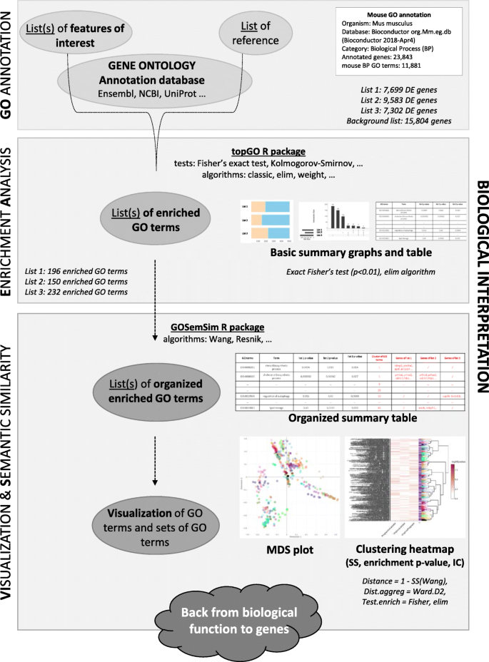 ViSEAGO: a Bioconductor package for clustering biological functions using  Gene Ontology and semantic similarity | BioData Mining | Full Text