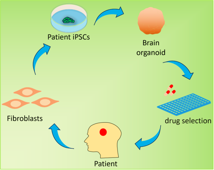 in vitro culture research paper figure 1
