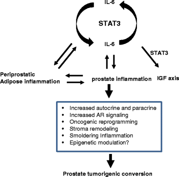 citokine de prostatită