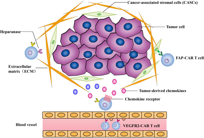 Gene Modification Strategies For Next Generation Car T Cells Against Solid Cancers Journal Of Hematology Oncology Full Text