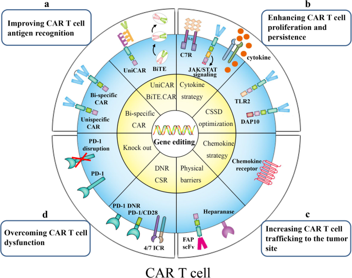Gene Modification Strategies For Next Generation Car T Cells Against Solid Cancers Journal Of Hematology Oncology Full Text