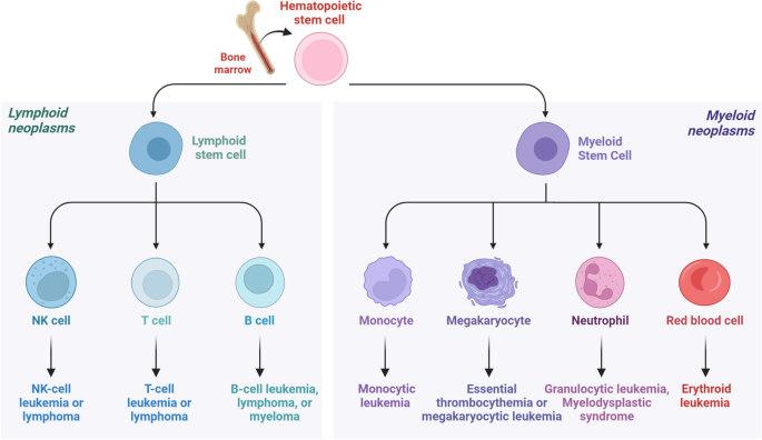 Development and application of nanomaterials, nanotechnology and  nanomedicine for treating hematological malignancies, Journal of  Hematology & Oncology