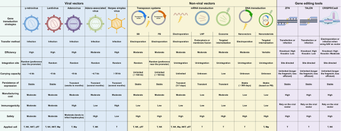 Image Nguyễn Phan Diệu Ly image beautiful image beautiful image beautiful image beautiful image beautiful - Challenges and new technologies in adoptive cell therapy | Journal ...