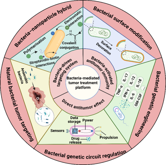 glutathione nebulizer solution capsules equivalent or alternative Exploration of inorganic nanoparticles for revolutionary drug delivery  applications: a critical review | Discover Nano main image 1