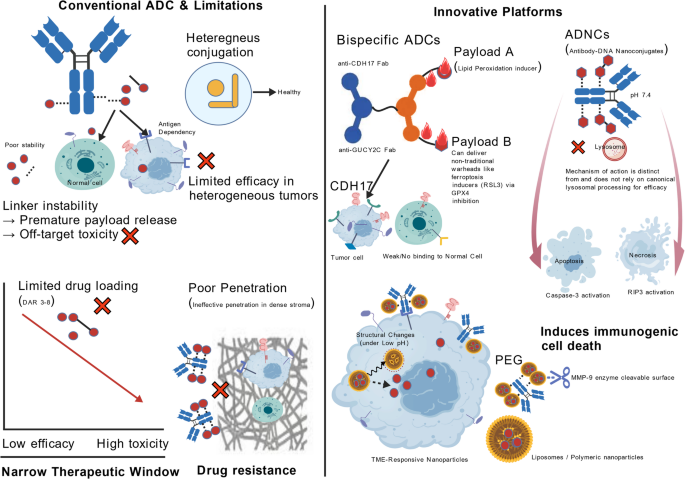 Immuno-cytotoxic convergence: integrating antibody‒drug conjugates and immunofusion proteins to overcome resistance in gastrointestinal cancers | Journal of Hematology & Oncology