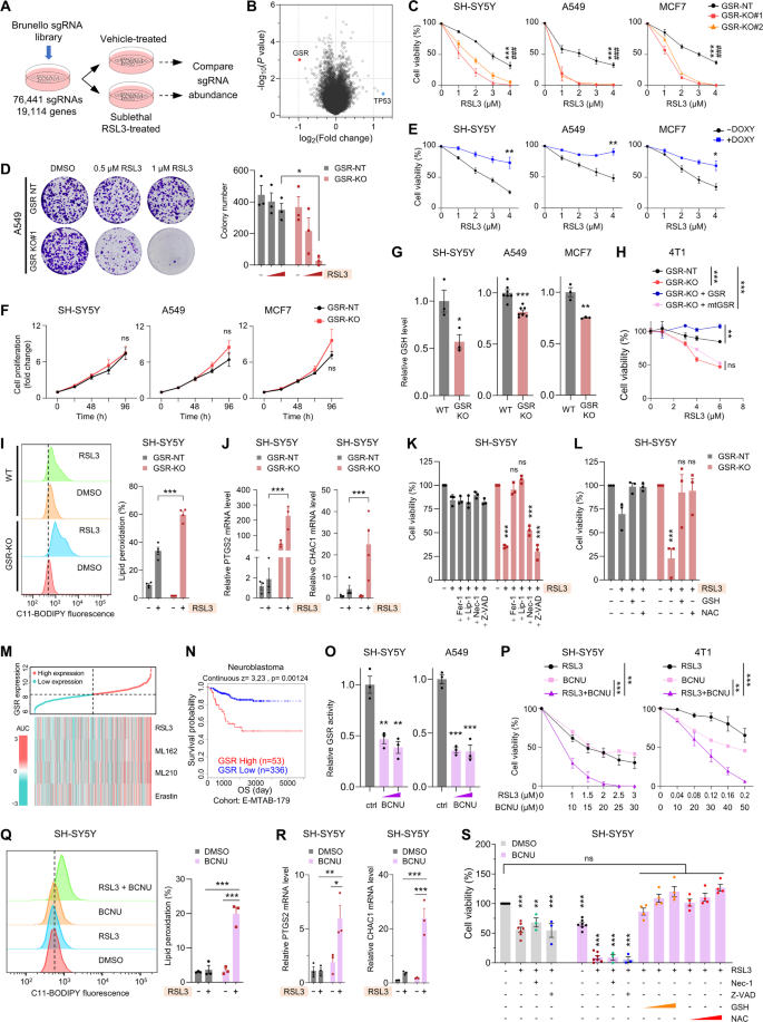 mixing white glutathione reductase deficiency potentiates the immunogenicity of ferroptosis and cuproptosis via amplified reactive oxygen species accumulation and cGAS-STING pathway activation | Journal of Hematology & Oncology NOW Glutathione Supplement, 500 Wheat Free Size:4XL