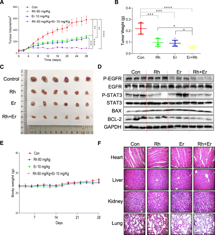 pastile împotriva negilor plantare virale curatarea limfei formula as