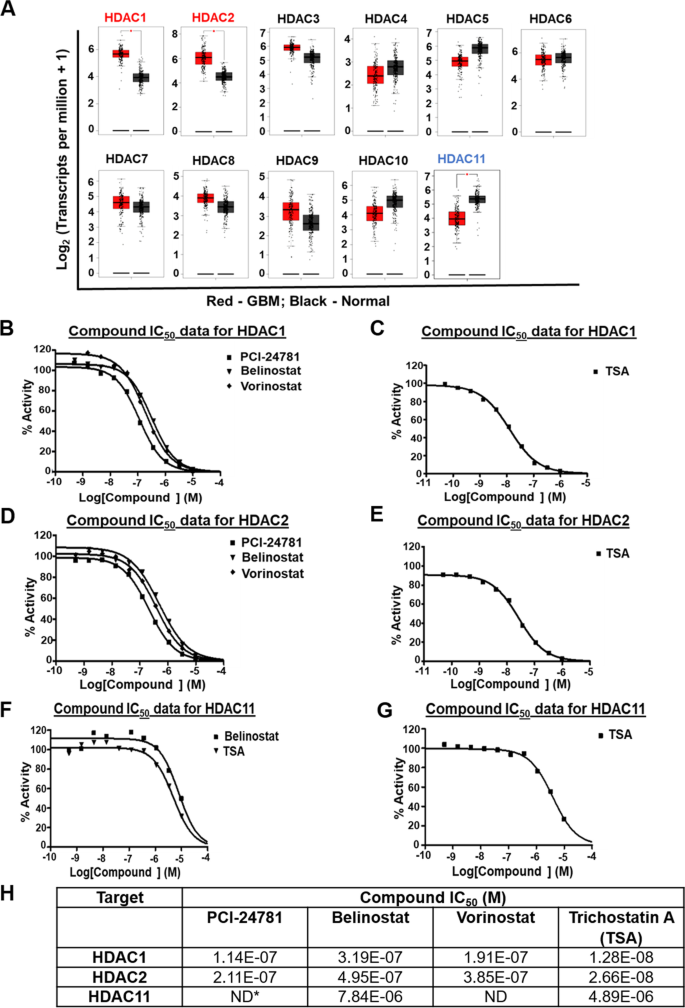 Differential gene expression-based connectivity mapping identified 