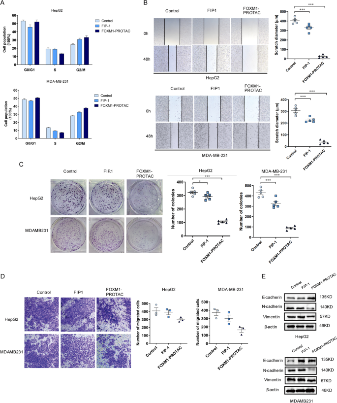 PROTAC® In Vivo Animal Test - Creative Biolabs