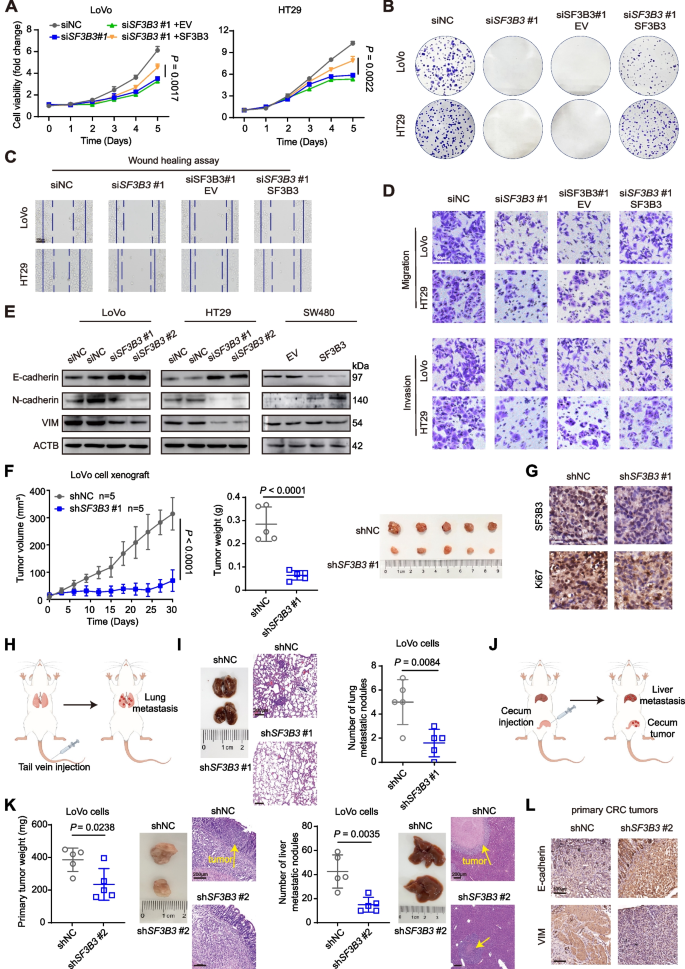 research articles on colorectal cancer figure 2