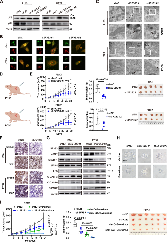 research articles on colorectal cancer figure 7